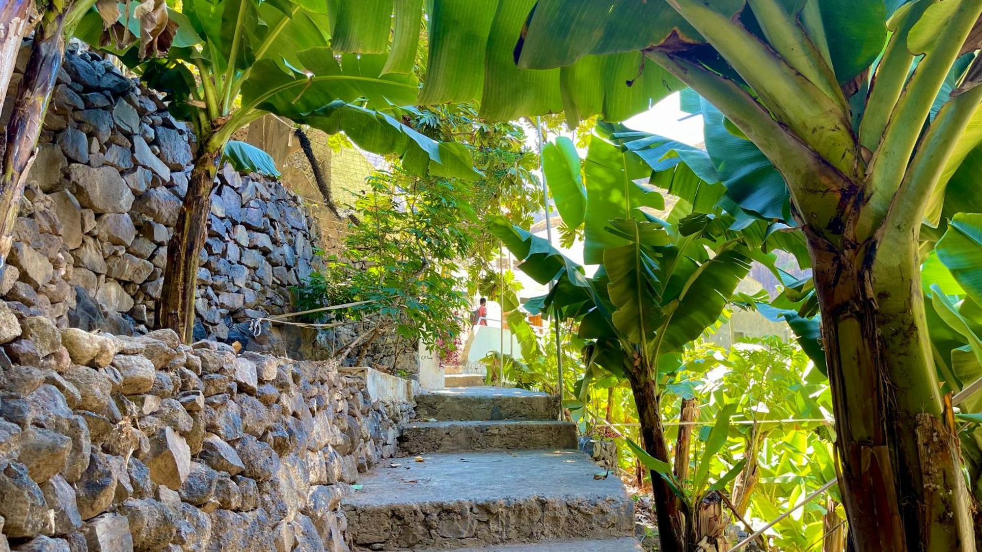 Villa Casa Minga & Tatol Ribeira Grande Exterior foto